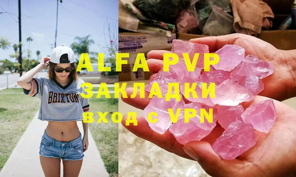 сатива Аркадак