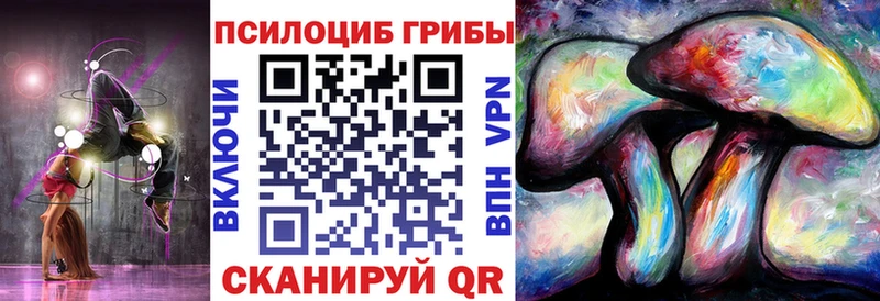 kraken как зайти  Коломна  Галлюциногенные грибы MAGIC MUSHROOMS 
